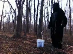 REAL BIGFOOT FOOTAGE FROM VIRGINIA