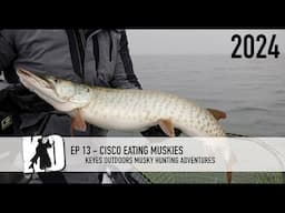 Cisco Eating Muskies - Keyes Outdoors Musky Hunting Adventures