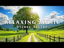 Beautiful Relaxing Music 🌎 Sleep Music, Stress Relief, Healing, Insomnia | Calms Your Nerves