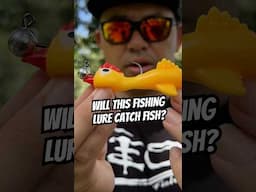 Will This Fishing Lure Catch Fish?