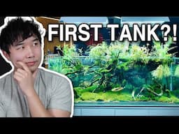 Fishkeeper stunned by BEGINNER'S FIRST TANK | Fish Tank Review 288