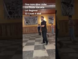 One more silver dollar #linedance #countrydancing #morganwallen #linedancers