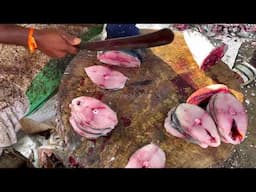 VANJARAM FISH CUTTING | FISH CUTTING SKILLS | FISH CUTTING VIDEOS #KASIMEDU | UK SONS MARINE