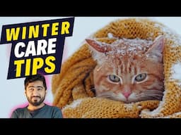 Winter Survival Guide for Pets // اردو / हिंदी - Hope Pets Clinic