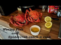 Pollock off the Rocks and Spidercrab Catch n Cook