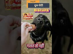 Dog ko Biscuit Khane se kya hota hai #dogcareandcure