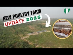 New Poultry Farmer Ready to Earn MASSIVELY from His New Chicken Farm