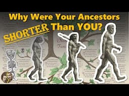 Why Were Your Ancestors Short? - History Explained- Mortal Faces