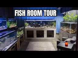 Welcome to a Fish Room like You've Never Seen