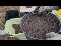 How to Refresh, Revitalize, and Reuse Old Potting Soil