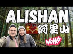 外國人驚艷阿里山之美！| Alishan Is A Must Visit In TAIWAN