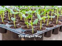 Seed Starting | Everything you need to know | Full Video Peppers, Tomatoes, Heirloom Reviews