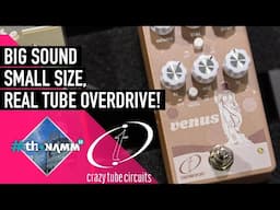 NEW Crazy Tube Circuits Venus Tube Overdrive | #ThoNAMM25