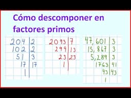 Cómo descomponer en factores primos usando reglas de divisibilidad