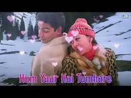 Hum Yaar Hai Tumhare | Alka Yagnik | Udit Narayan | Haan Maine Bhi Pyaar Kiya