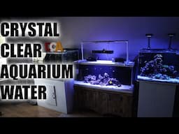 HOW TO GET CLEAR AQUARIUM WATER