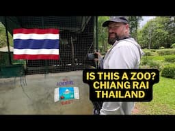 We're Back in Thailand! | Wildlife Breeding Facility