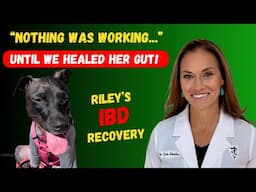 From Sick to Thriving - Riley’s Incredible IBD Recovery with Holistic Vet Care