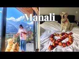 Manali | Pet friendly stay | Best Cafe Jagatsukh