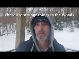 There are strange things in the Woods (Listen to your Gut)