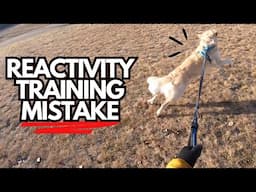 Struggling with Leash Reactivity? Fix This Training Mistake!