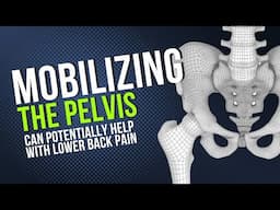 How To Reduce Back Pain By Mobilizing the Pelvis