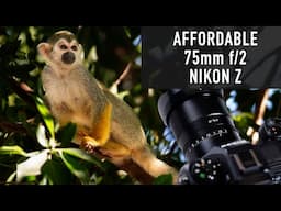 Nikon Z Mount Full Frame Portrait Lens at f/2 for Under $200?! TTArtisan 75mm f/2