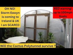 Storm Eowyn coming to UK & Ireland with up to 100mph Gusts | will the Cactus Polytunnel make it ?