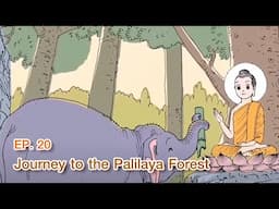 The Life of the Buddha|Ep20 | Journey to the Palilaya Forest