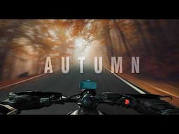 Forget about problems - Solo ASMR ride in Autumn