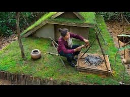 Shelter 1 SURVIVAL TIPS You Need to Know! Build Catch and Cook to Survive with Primitive Skills