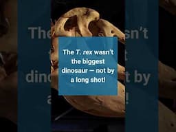 Fast Facts: TREX