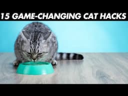 15 Life-Changing Cat Hacks Every Cat Parent Needs to Know!