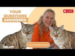 Join us for Cat Chat Tuesday with Clinical Cat Behaviorist Amanda from Kittysitty