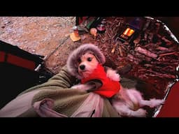 Hot Tent Camping Tips And Tricks Staying Warm In Winter