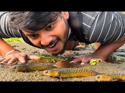 Caught Sunset Chana and Diamond Tilapia Fish😳| New Location Explored!❤️🔥