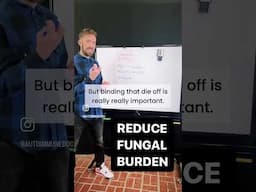 Reduce Fungal Burden