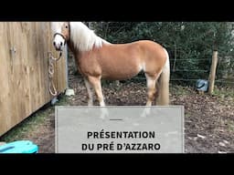 PRÉSENTATION DU PRÉ D’AZZARO 🦄