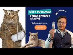 🐾 Cat Wound Care at Home in Hindi! Quick & Easy Tips for Happy Healing! 😺 #CatCare #PetHealth