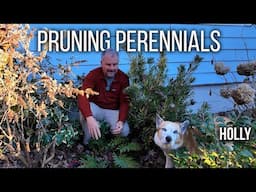 How to Prune Evergreen Perennials - Five Minute Friday