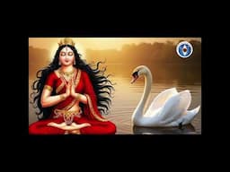 Name 47: Marali Mandha Gamana - The Graceful Gait of a Swan (Lalita Sahasranamam)