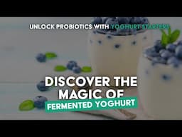 Explore the World of Yoghurt Cultures – Make Creamy, Homemade Yoghurt!