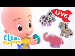 🔴 LIVE 🔴 Learn colors, numbers and shapes with Cuquín | Educational videos for kids