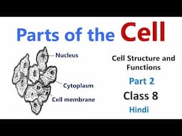 Parts of the Cell | Nucleus | Cell - Structure and Functions | Class 8 Science Chapter | Biology