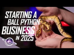 Starting a Ball Python Business in 2025 | Sp. Guest @KeeperCain116  #ballpython #snake #reptiles