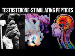 FORCE Your Body to Increase Testosterone by Optimising these Natural Peptides (Kisspeptin, GnRH, LH)