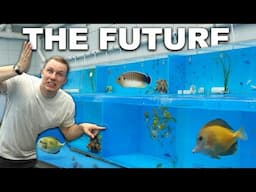 Is this the FUTURE of my Hobby? - World premiere of a Tropical Marine Centre project