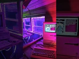 Carmen Sandiego in my school bus #retro #gaming #mac