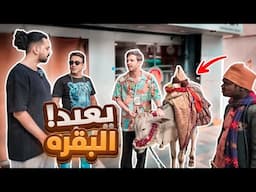 شارع الهندوس !!! يعبدون لوحة ؟؟ 🤯 | خلودي 25 في الهند 🔥