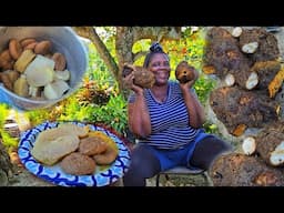 Looking Yam in the hills with Miss Little | Look What Happen! Oatmeal Dumpling W Renta Yam | Epic